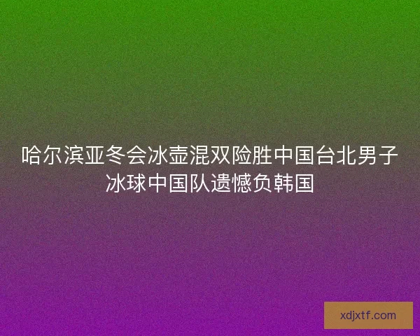 哈尔滨亚冬会冰壶混双险胜中国台北男子冰球中国队遗憾负韩国